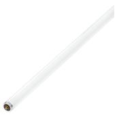 Tube fluorescent Slimline T12 60 W, 96", blanc froid