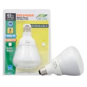 Ampoule fluorescente compacte 15 W, BR30, équivalent 65 W