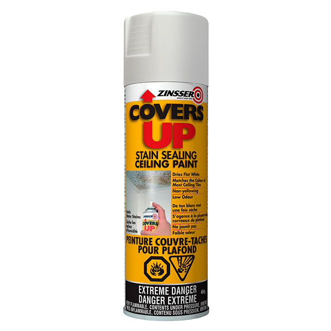 Covers Up - Stain-Sealing Ceiling Paint Spray - 454 g - White