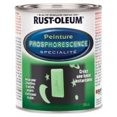 Peinture phosphorescente, 916 ml