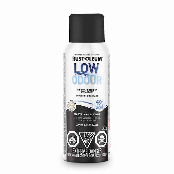 Rust-Oleum 312-g Water-Based Low Odour Matte Black Spray Paint