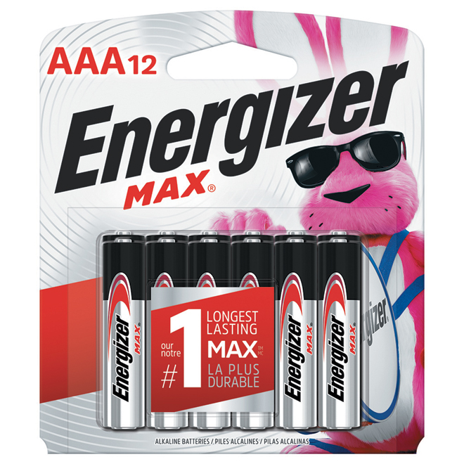 Pack of 12 AAA Batteries