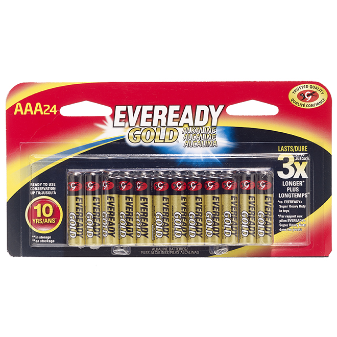 Alkaline AAA Batteries - Pack of 24