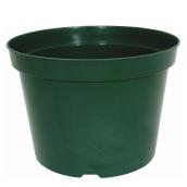Kord Flower Pot - Plastique - 4-in - Green