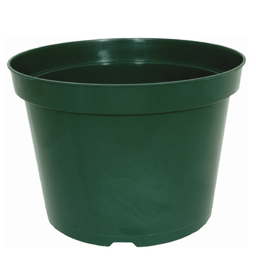  Kord  Flower Pot  Plastic  10 in Green AZE10001B71 RONA