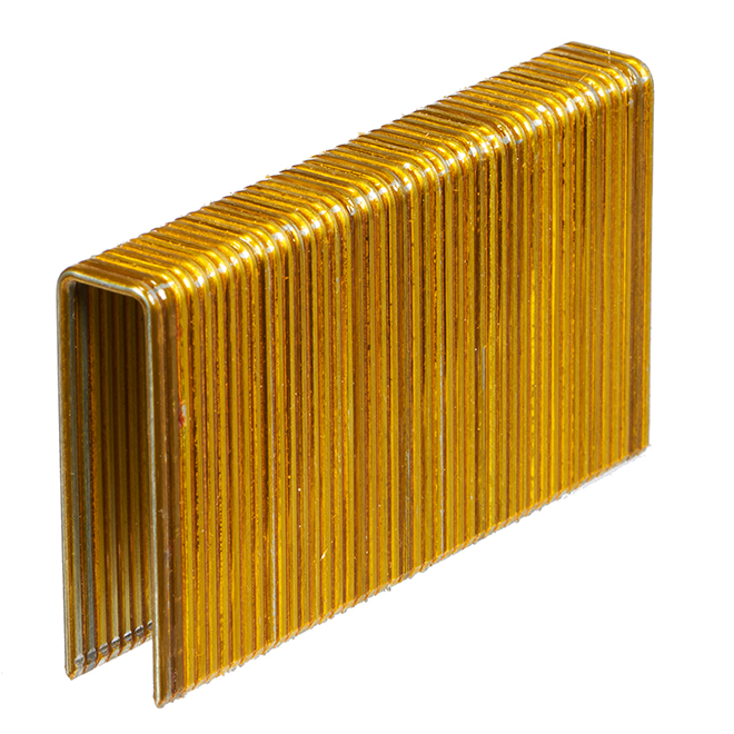 Foresto Hardwood Floor Staples - Resin Coated - 15-Gauge - Galvanized - 1 3/4-in L - 1000-Pack