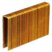 Foresto Hardwood Floor Staples - Resin Coated - 15-Gauge - Galvanized - 2-in L - 1000-Pack