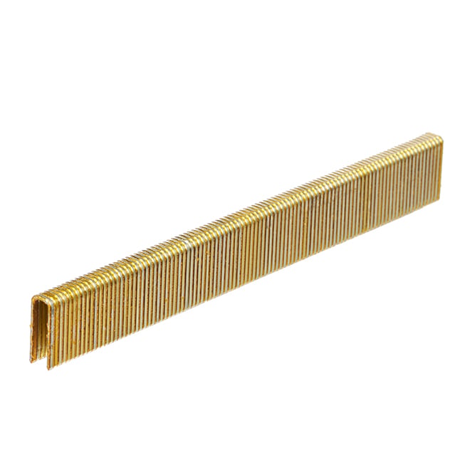 Staps Rona Foresto All-purpose Staples - Narrow - 18-Gauge - Galvanized - 5/8-in L ...