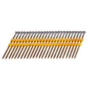Foresto Angled Collated Framing Nails - Steel - 1000 Per Pack - 3 1/4-in L