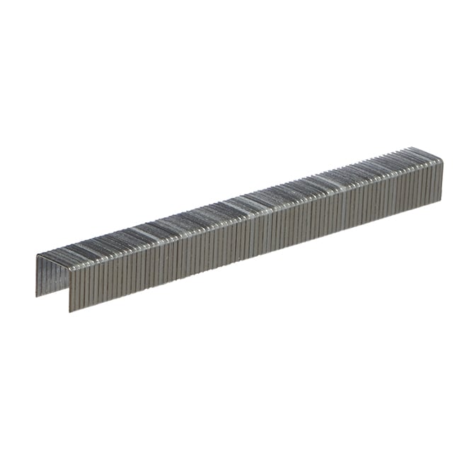 Staps Rona Foresto All-purpose T50 Staples - Narrow - 20-Gauge - Galvanized - 3/8 ...