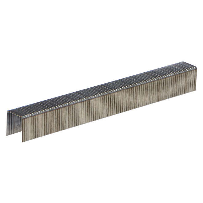 Foresto All-purpose T50 Staples - Narrow - 20-Gauge - Galvanized - 1/2-in L - 1000-Pack