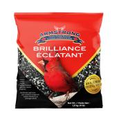 Armstrong 1.8-kg Brilliance Bird Seed Mix