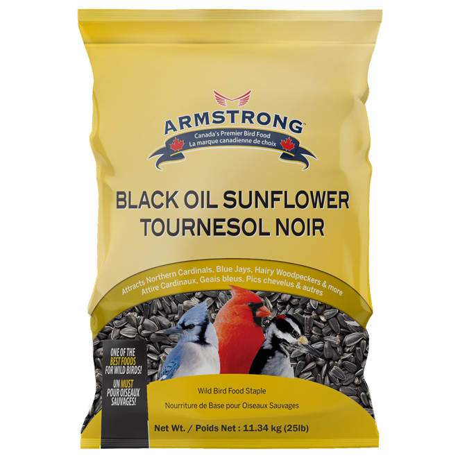 ARMSTRONG Black Oil Sunflower Seeds - 25-lb