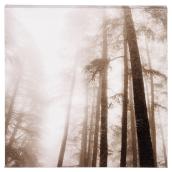 Canevas de coton laminé, noir et blanc, soleil en forêt