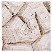 Canevas de coton laminé, noir et blanc, bois pétrifié