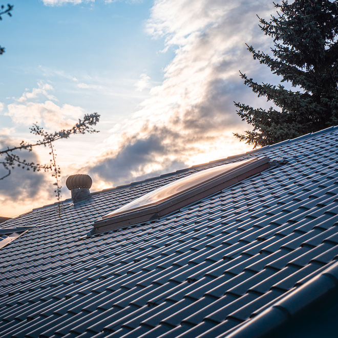 Columbia Double Glazed Clear 22.5 -in x 46.5-in Acrylic Dome Skylight - Brown