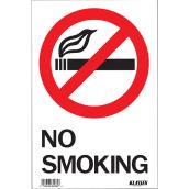 Klassen No Smoking Sign - 8-in x 12-in - Metal