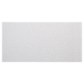 Carreaux de céramique pour mur «Tessara», 10 x 20 po, blanc