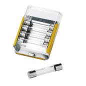 2 A x 250 V Fast Act Glass Fuse