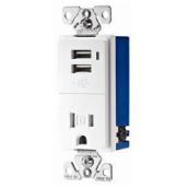 Decorative Duplex receptacle