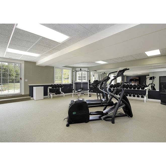 Metalux GR LED Series LED Troffer (Common: 2-ft; Actual: 23.75-in)