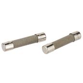 Cooper Bussmann 2-Pack 10 A Ceramic Fuse