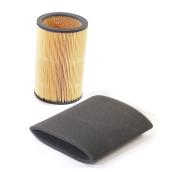 Set of 2 Air Filters for Air Cleaner