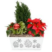 Meyers Flowers Natural Floral Holiday Arrangement - Decorative Planter