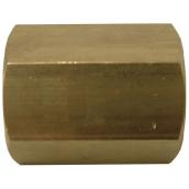 Coupling - Brass - 1/8" x 1/8" - FIP x FIP