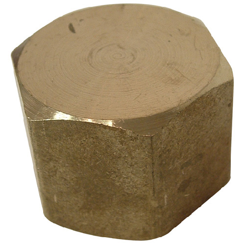 Watts 3/4-in Brass Pipe Cap