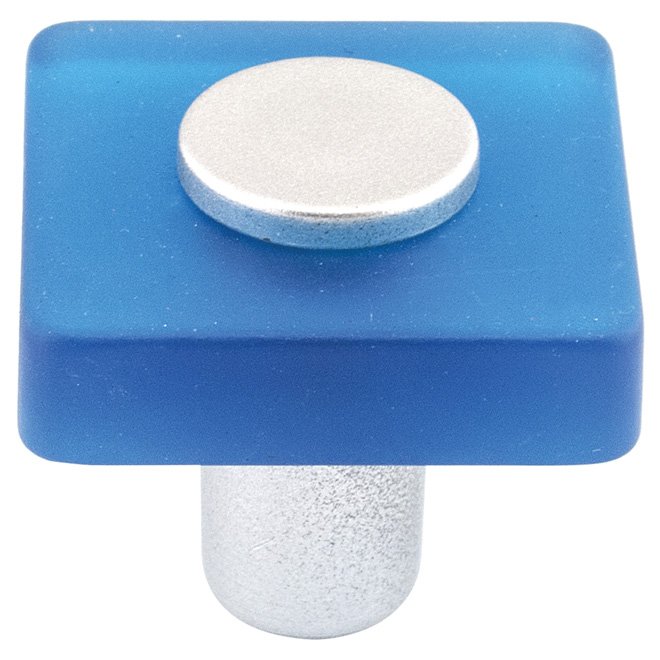 Richelieu Contemporary Eclectic Cabinet Knob - Plastic - Frosted Blue Finish - 1 3/16-in L x 1 3/16-in W