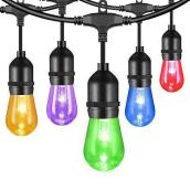 Landon & Co. DEL String Lights  24-ft - Colour-Changing