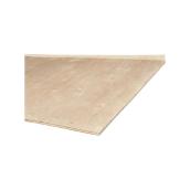 Sanded Fir Plywood Panel - G1S - 1/2'' x 4' x 8'