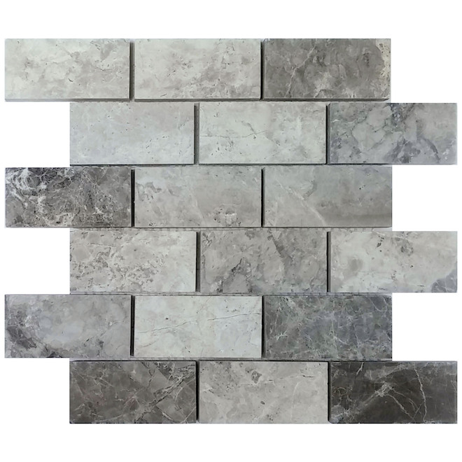 Mosaaïque Trustone Valensa 12 po x 12 po, gris poli