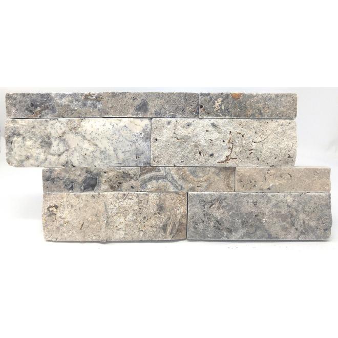 Ledgestone Travertine Tru-Stone 6 po x 12 po, 6 morceaux, gris et argenté