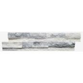 Avenzo Iceland Crystal 6-in x 24-in White and Grey Natural Stone Wall Panels - 6/box