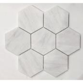 Avenzo Trustone Hexagon Mosaic Carrara Marble Tile - 9.85-in x 10.2-in - White