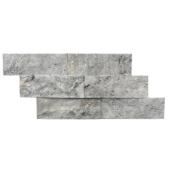 Avenzo Natural Stone Mosaic Subway Wall Tile - 6-in x 12-in - Silver