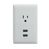 Plaque de conversion pour prise murale, 2 USB, 2,1 A, blanc