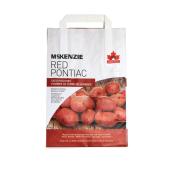 Pommes de terre de semence Pontiac 2,2 kg, rouge