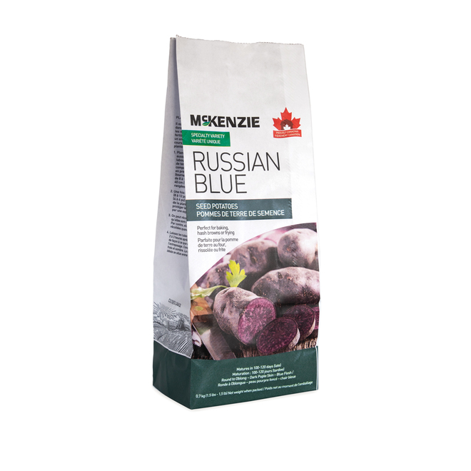 Russian Blue Seed Potatoes - 2.2 kg