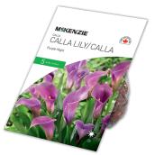 McKenzie Purple Night Calla Lilly - 5 Bulbs - 14 to 16 cm