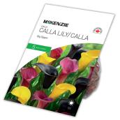 McKenzie Calla Lily Big Dipper - 5 Bulbs - Mixed Colours