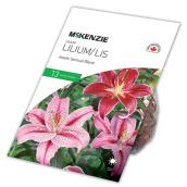 Lys Asiatique McKenzie, 13 bulbes, couleur assortie