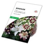 Lys, mélange mystère, McKenzie, 13 bulbes, 14-16 cm
