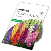 Glaieul Tropical McKenzie, 45 bulbes, mélange pastel