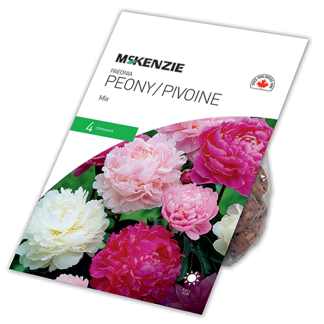 McKenzie Peony Bulbs - 4 Rhizomes Blend