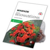 McKenzie Begonia Pendula Orange - 7 Bulbs - 5 to 6 cm