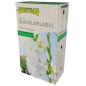 McKensie Lilium Mysterious Blend - 13 Bulbs - 12-14 cm