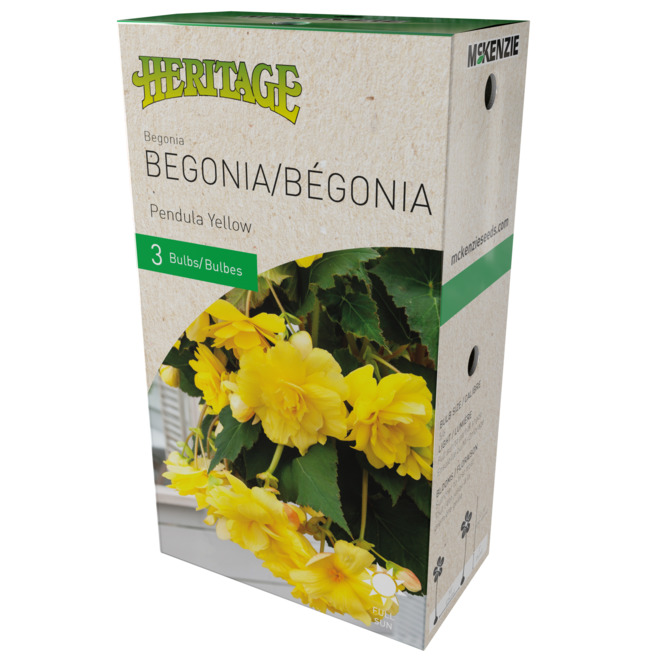 McKenzie Pendula Begonia - 3 Bulbs 4-5 cm - Yellow